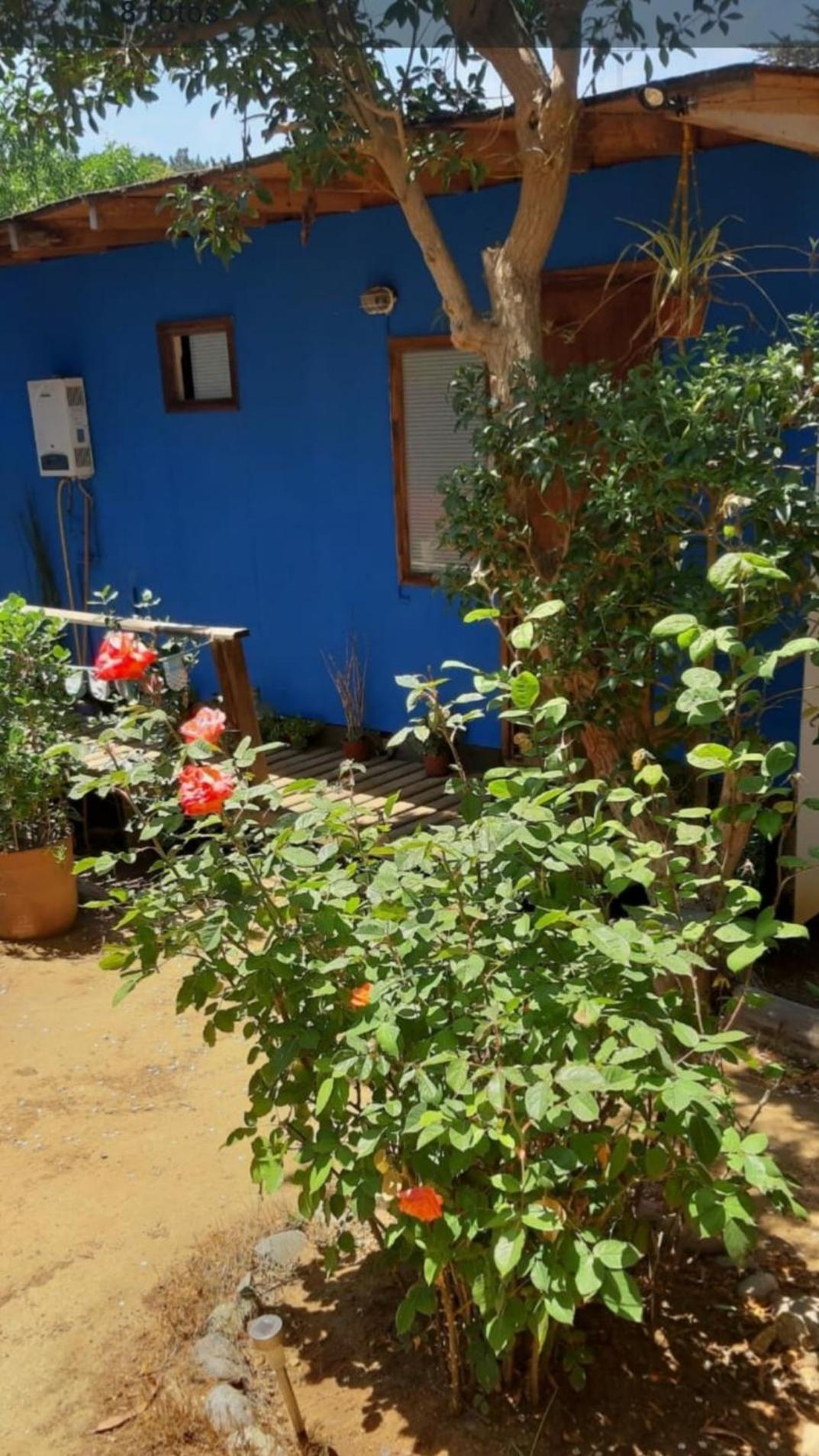 Cabañita Árbol
