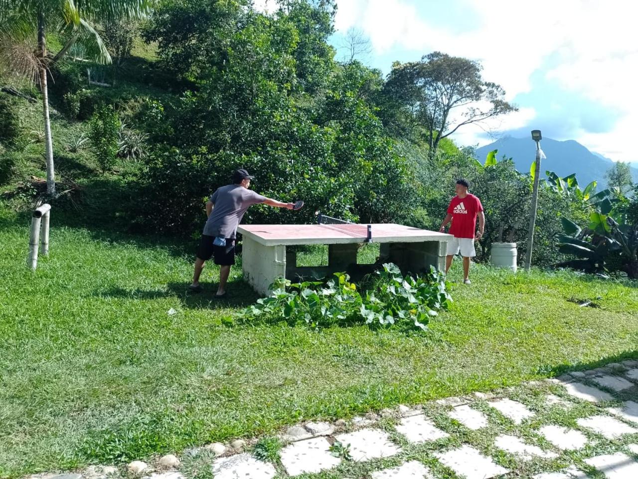 Finca La Palma