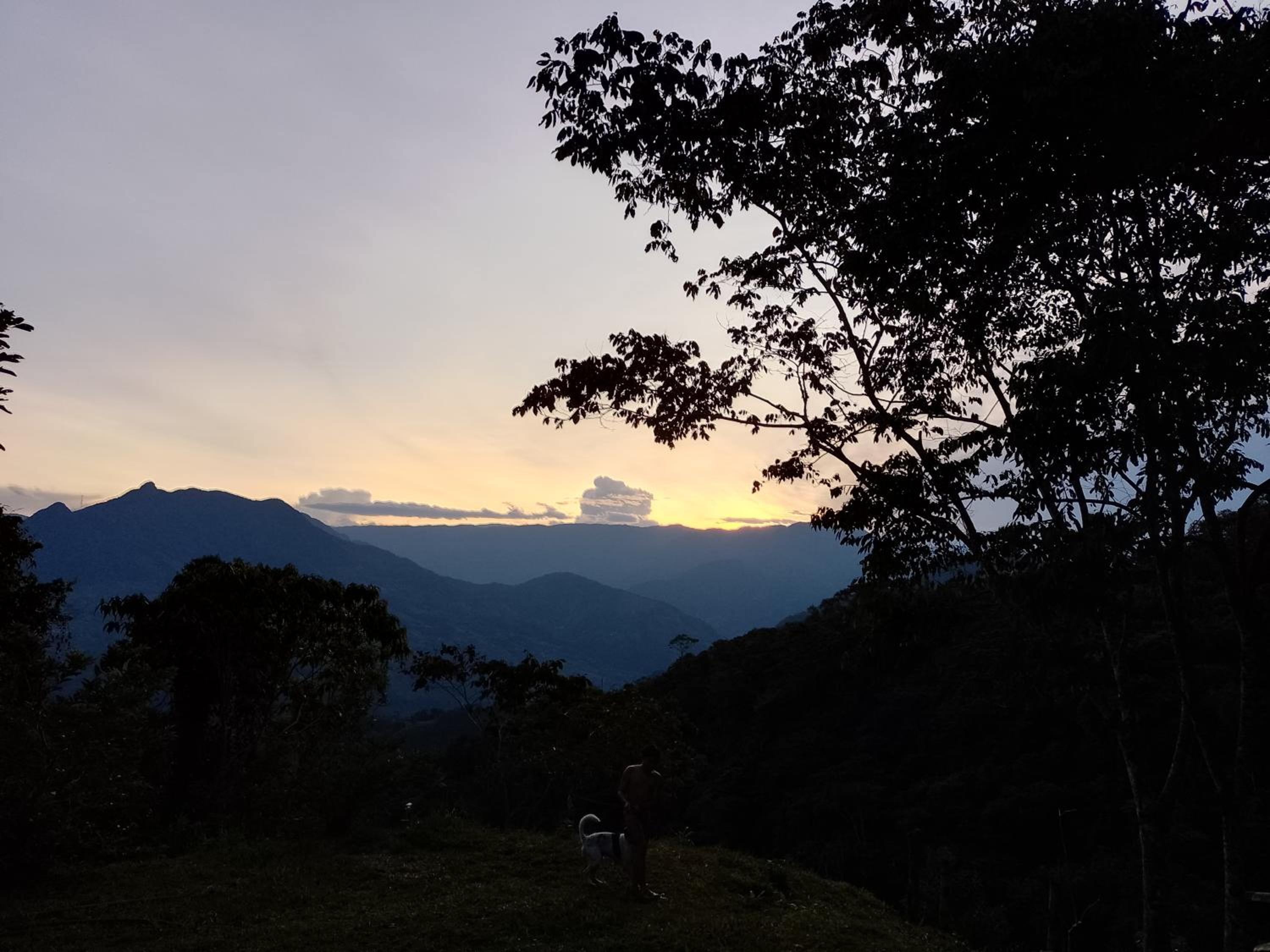 Finca La Palma