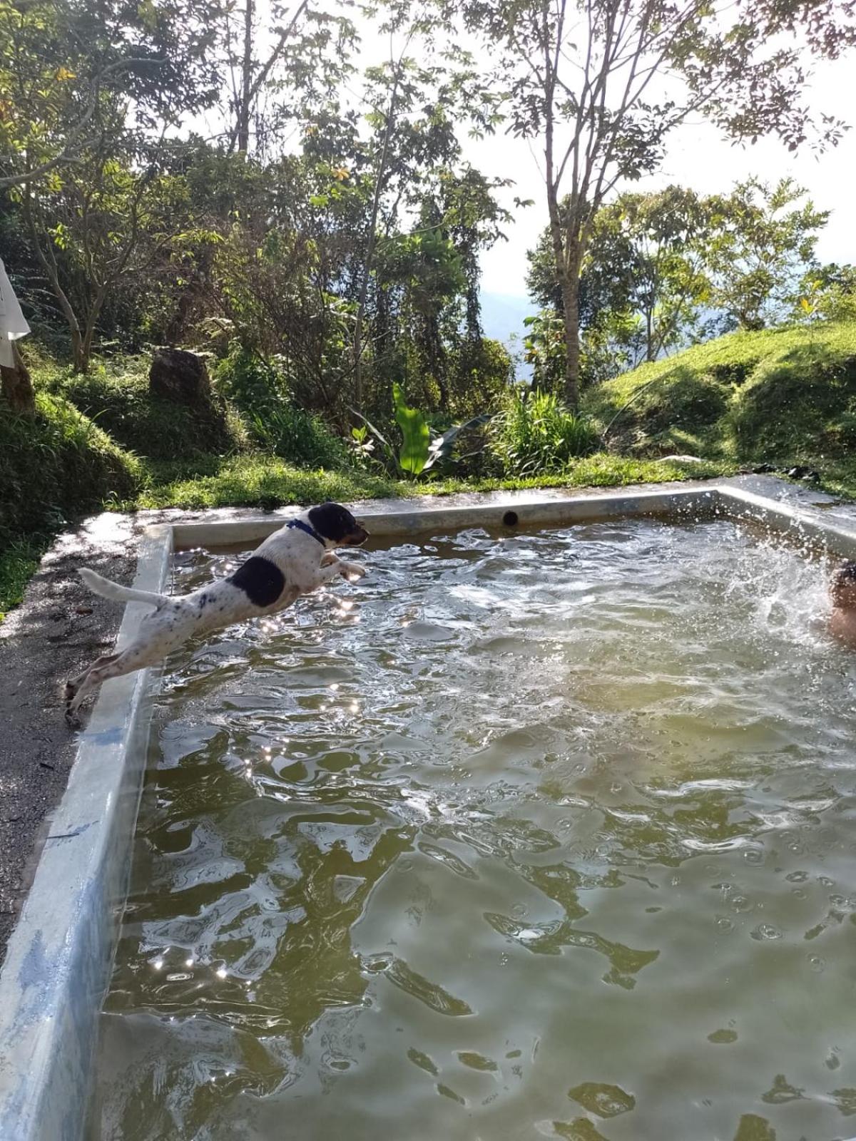 Finca La Palma