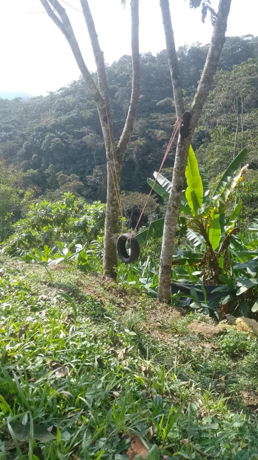 Finca La Palma