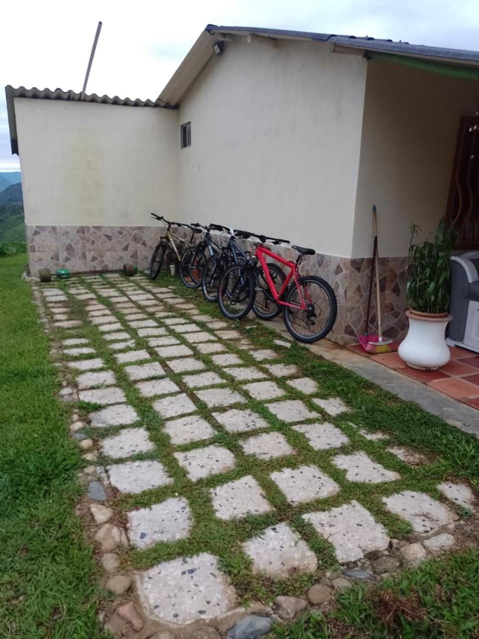 Finca La Palma
