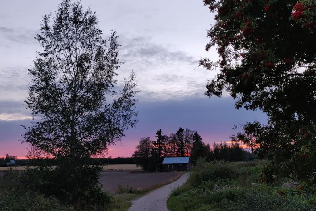 Rauhallinen talo maaseudulla 9km Seinajoelta