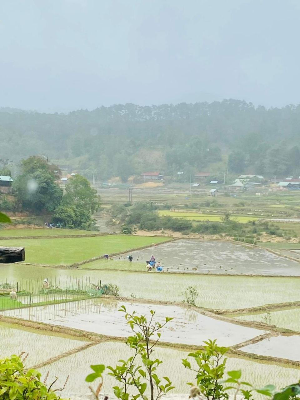 May Home Kon Vong Kia - Măng Đen view 4