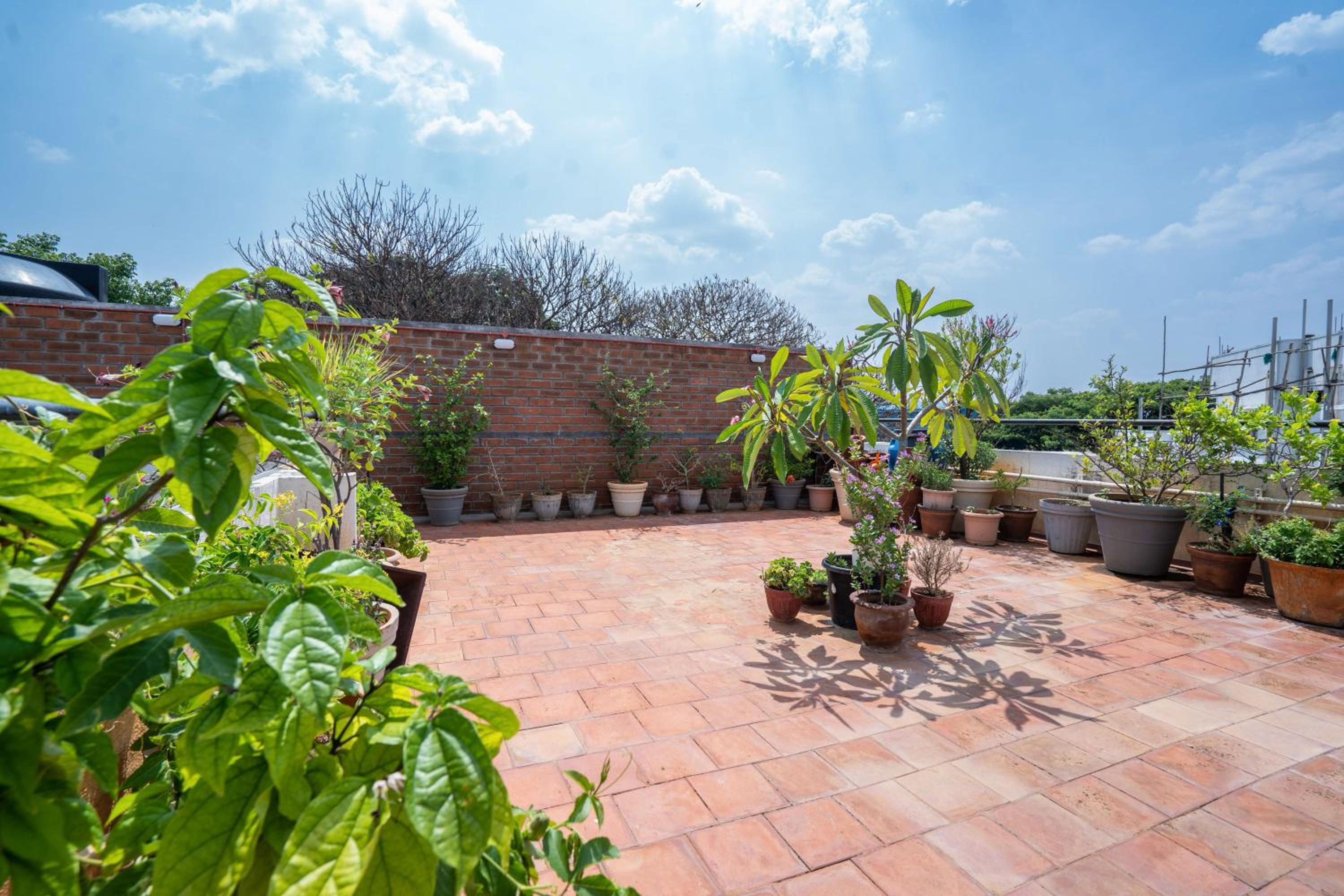 roof