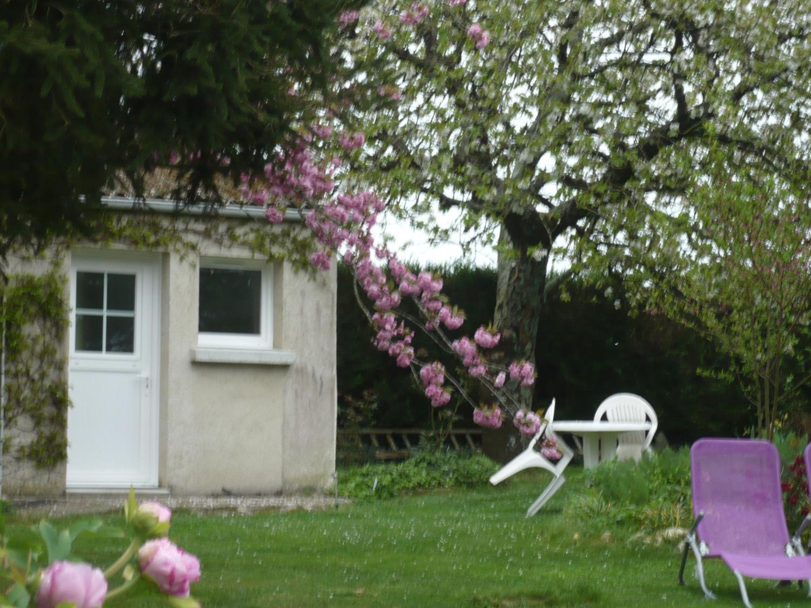 Photo 33