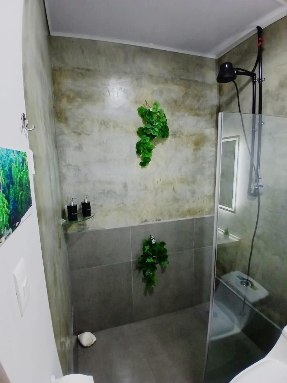 SJO Green Casita