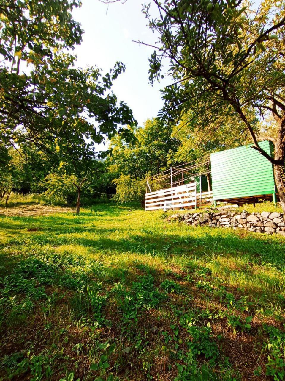 Camping Three poplars by VL