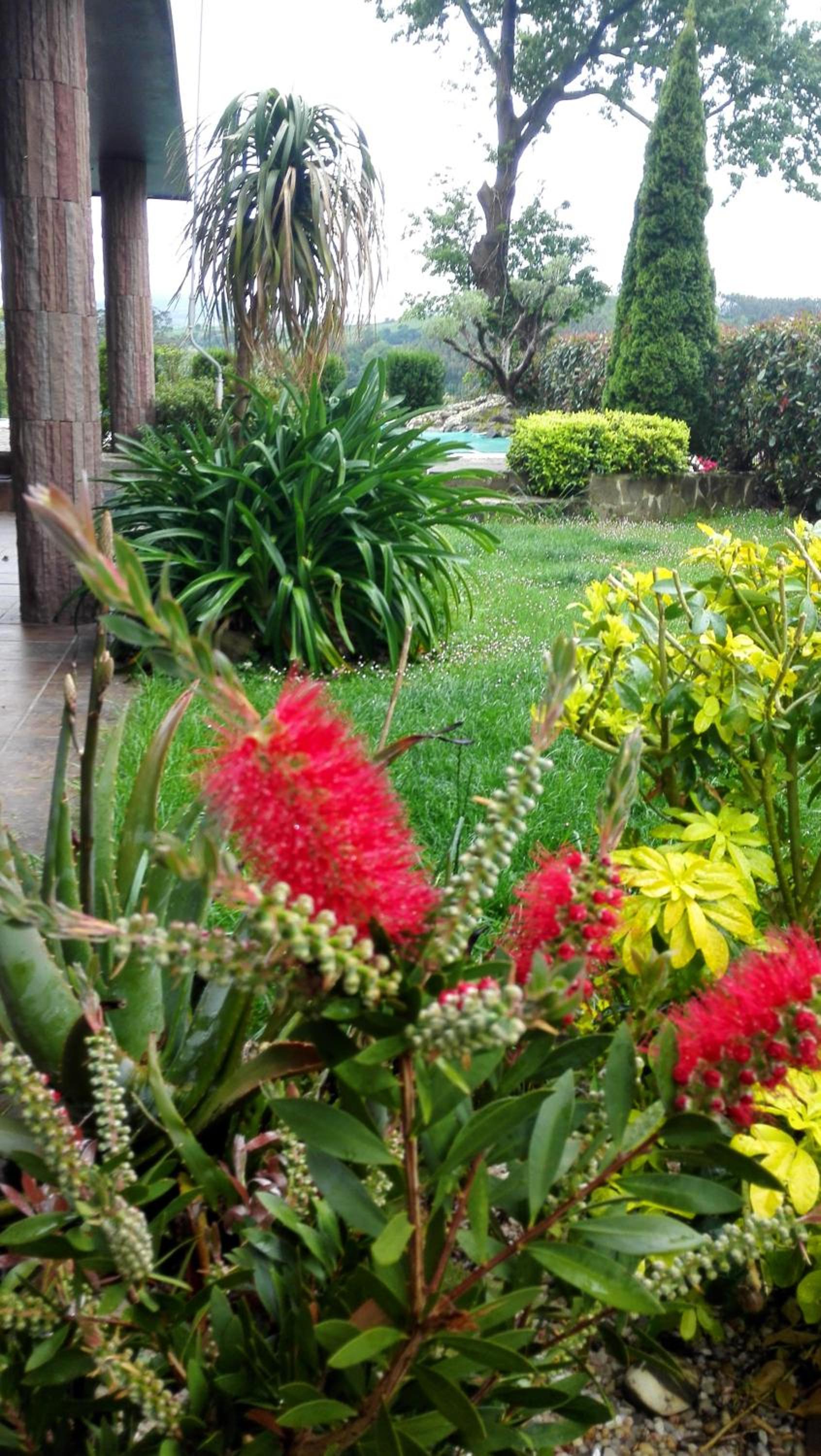 Photo 43