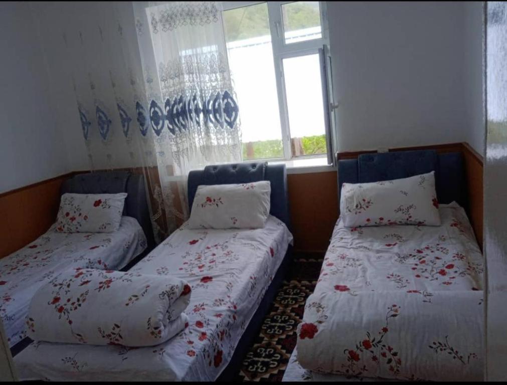 Guest house Tan Nuru Sary-Chelek
