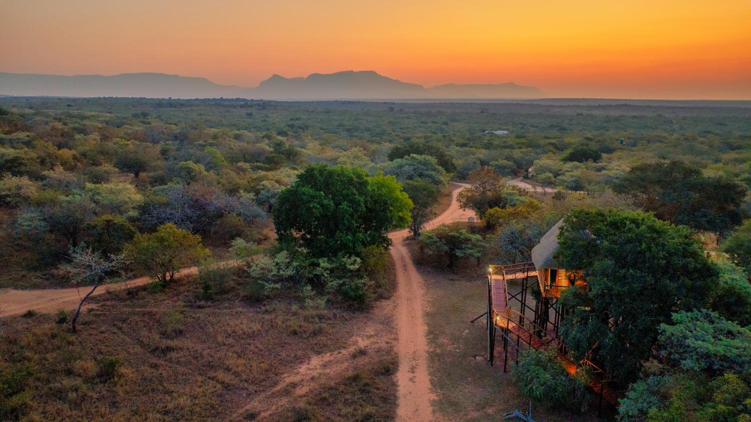 Pezulu Tree House Lodge