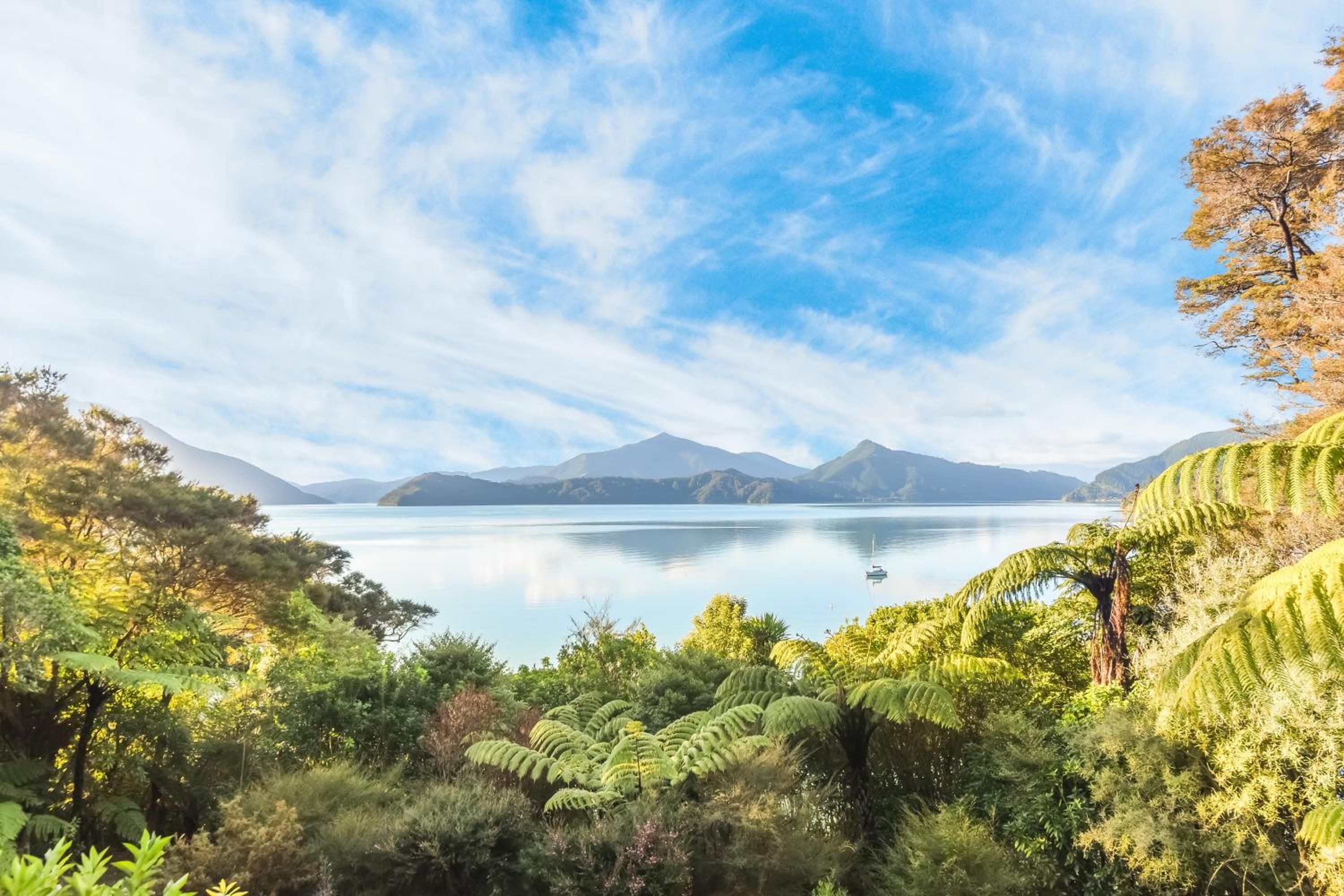 Moetapu Bay Bliss - Marlborough Sounds Retreat view 2