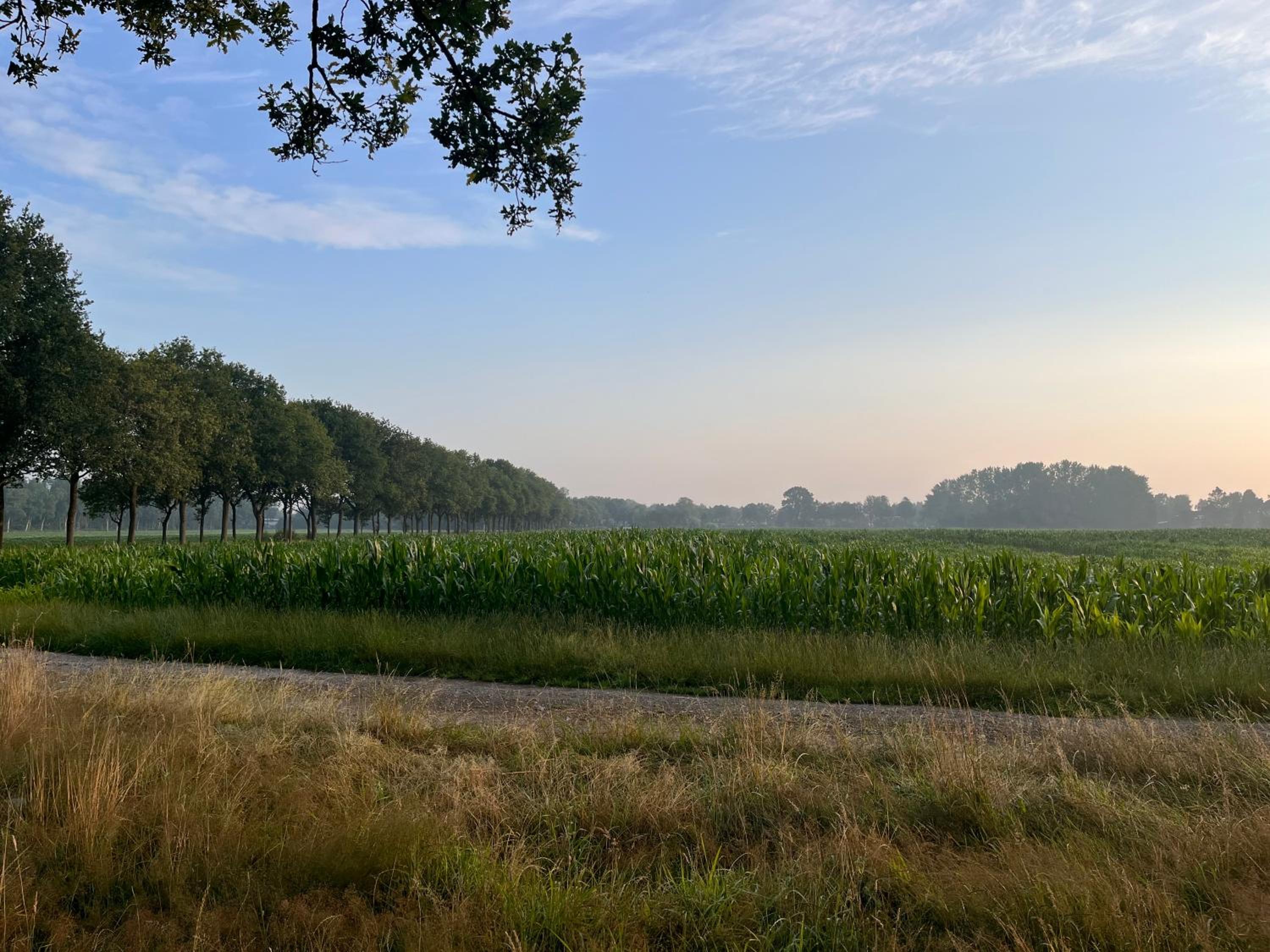 BnB Alde Hiemen Friesland