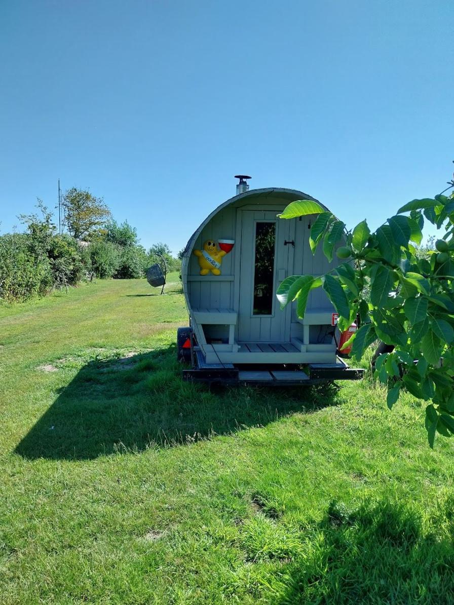La Vie Est Belle
