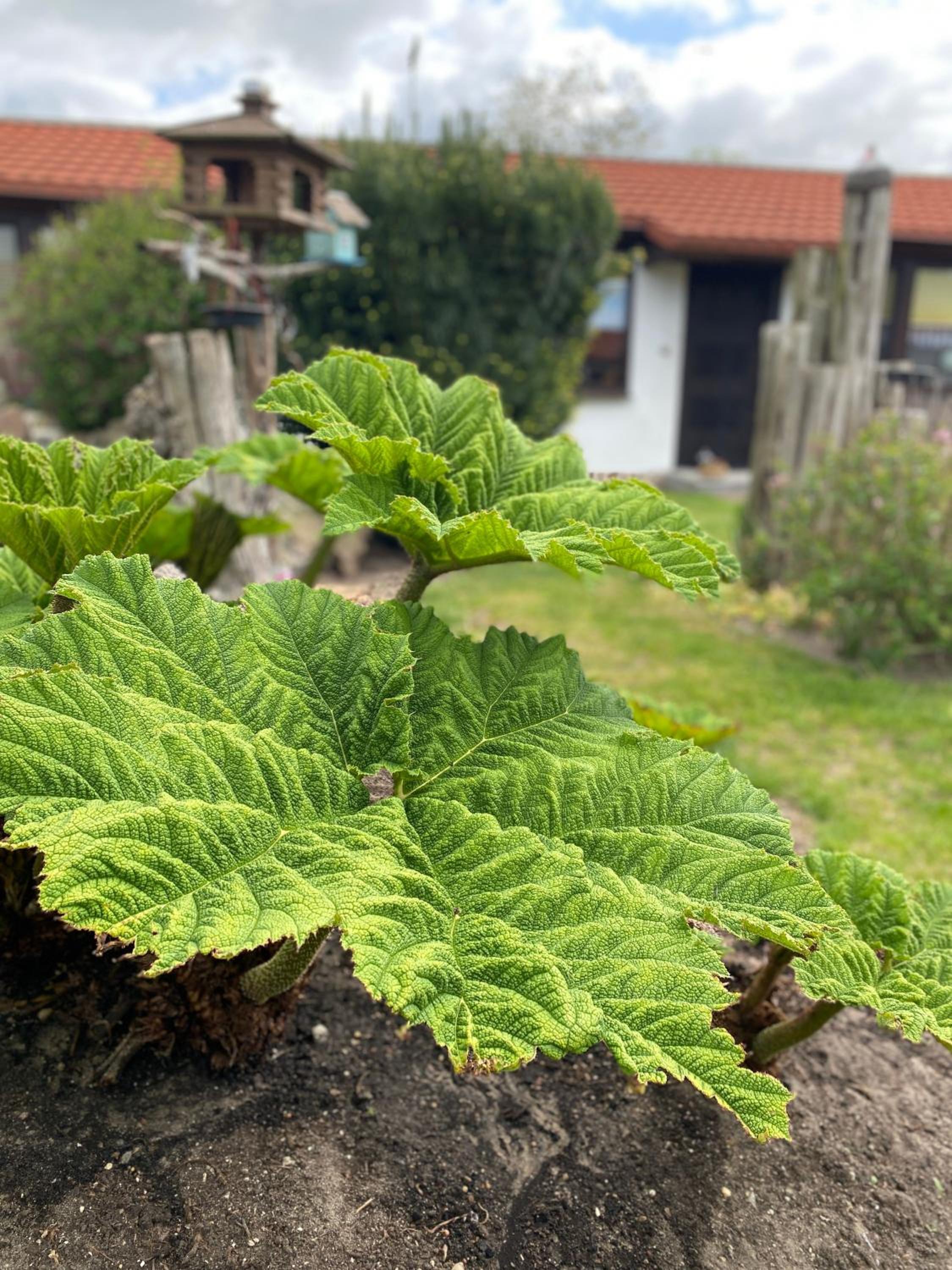 Urlaub