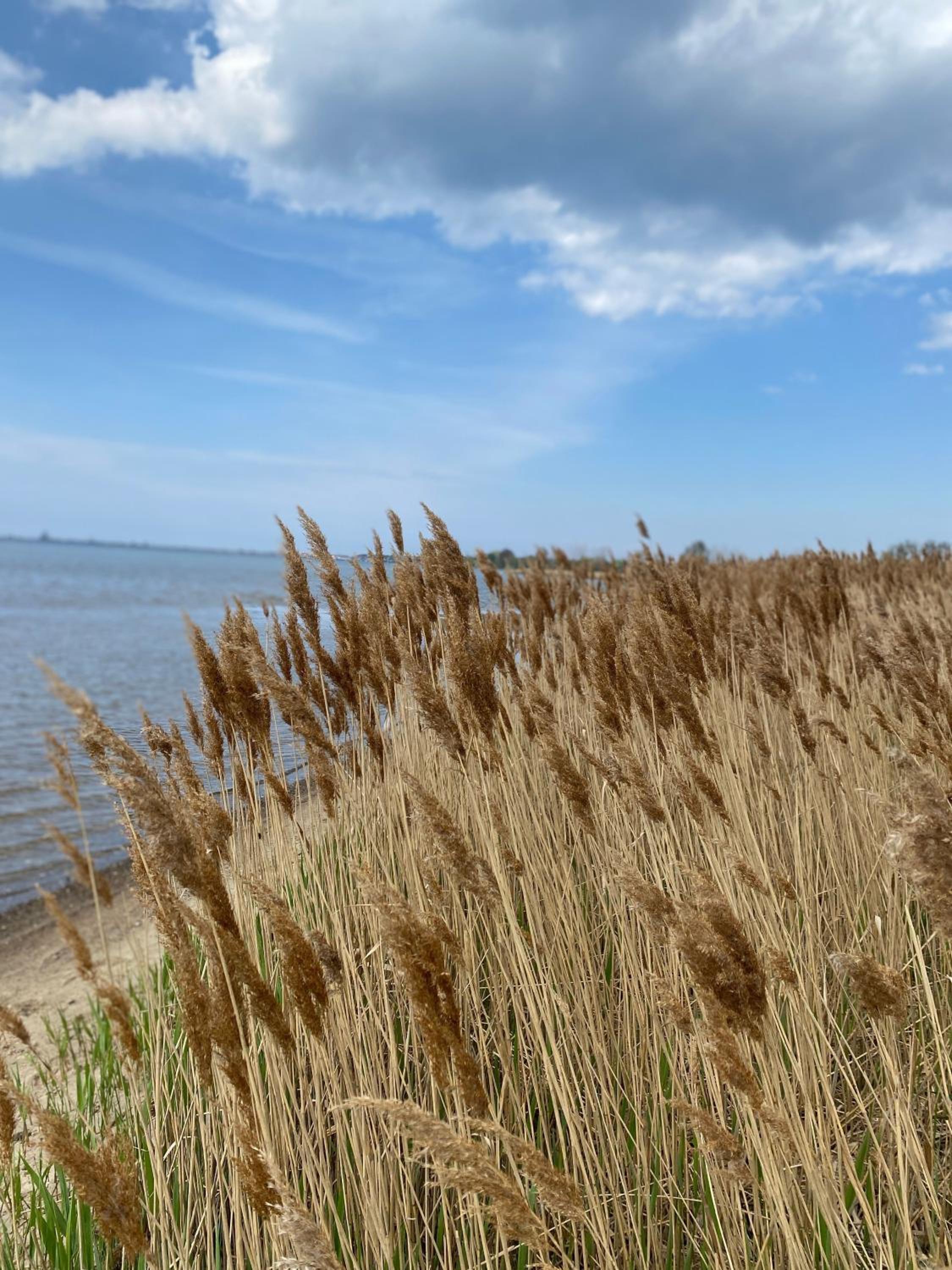 Urlaub