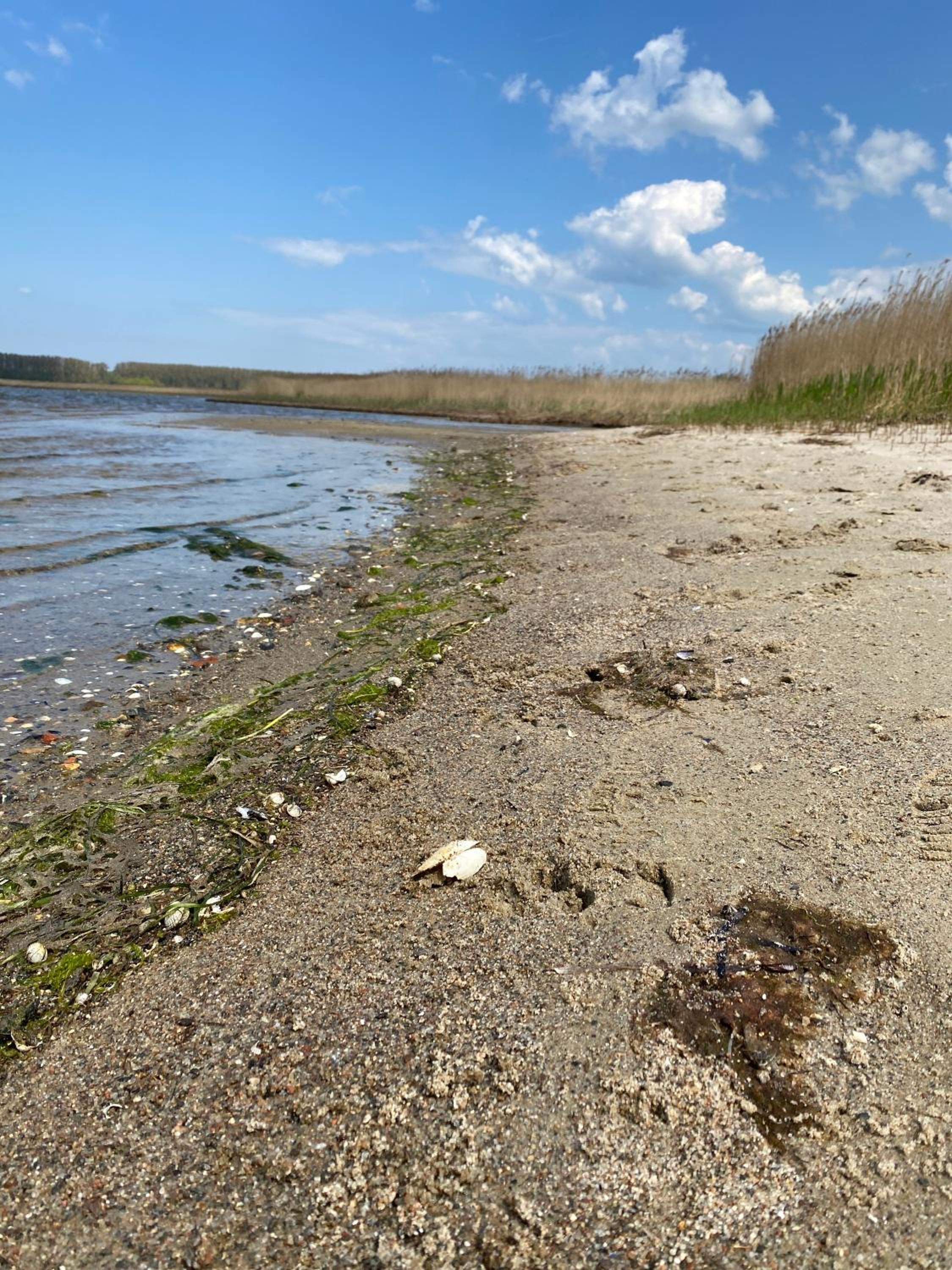 Urlaub