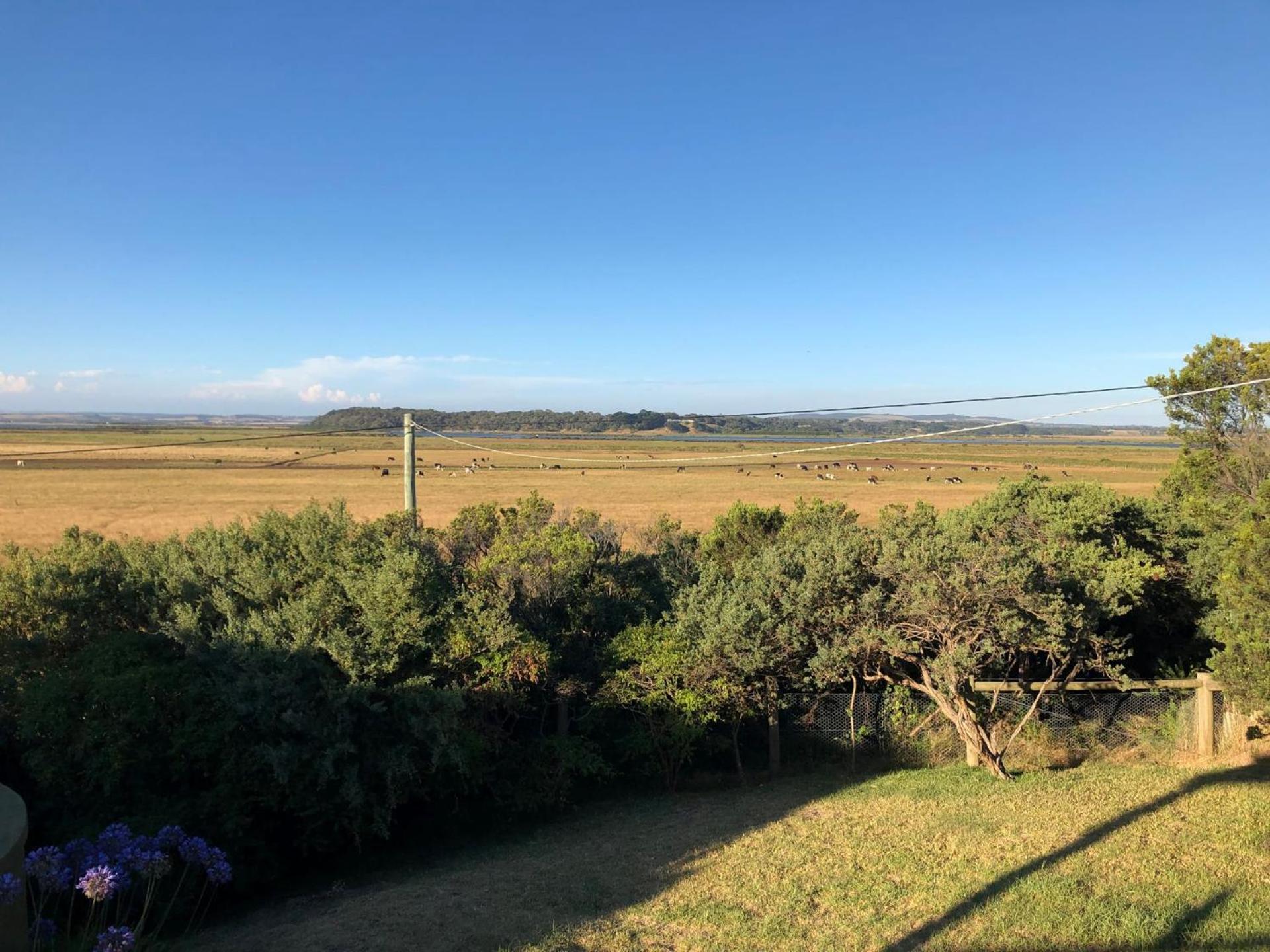 Kangaview