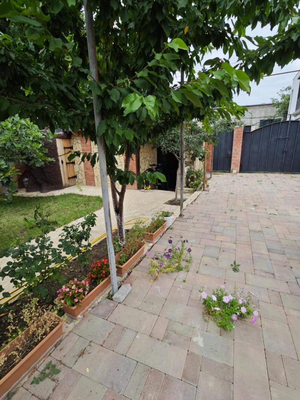 Tbilisi Garden house