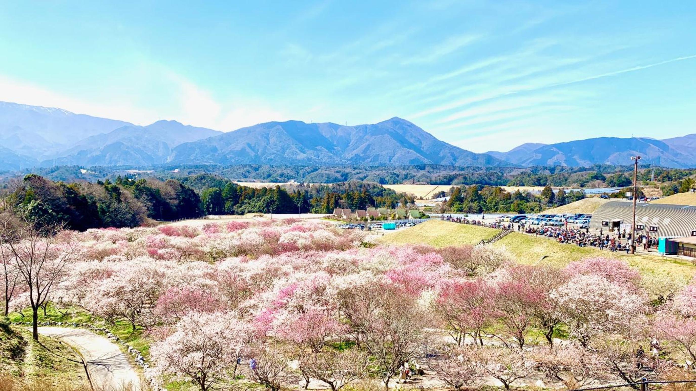 Hotel Yunomoto