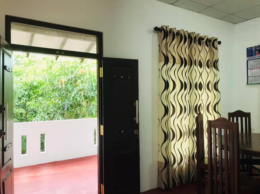 Mango tree view holiday house view 4