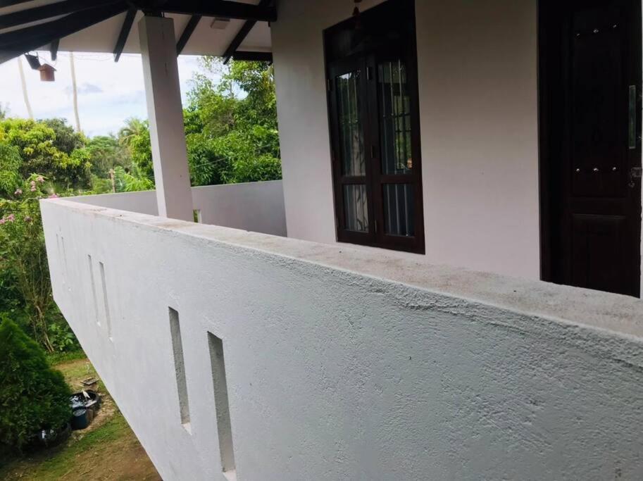 Mango tree view holiday house view 5