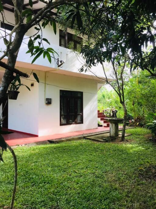 Mango tree view holiday house view 2