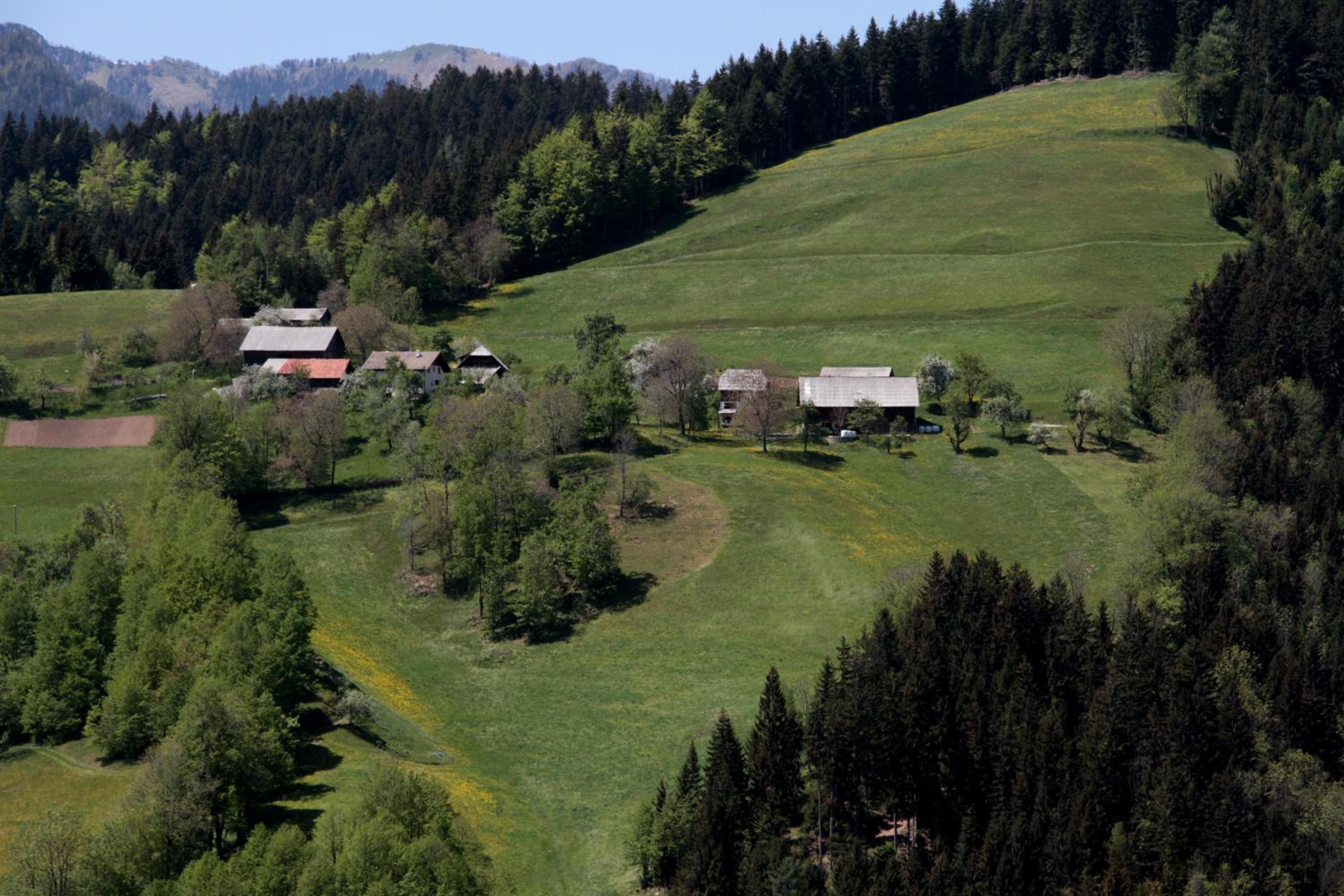 Photo 11