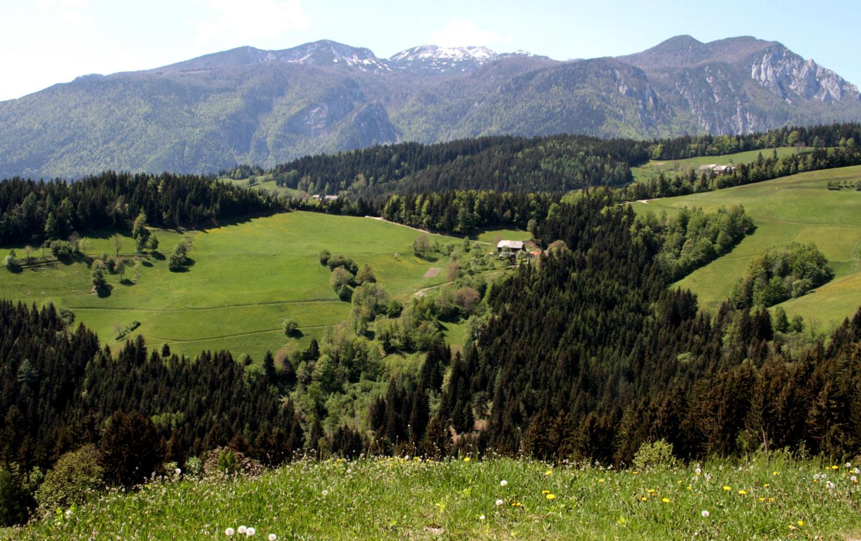 Photo 12