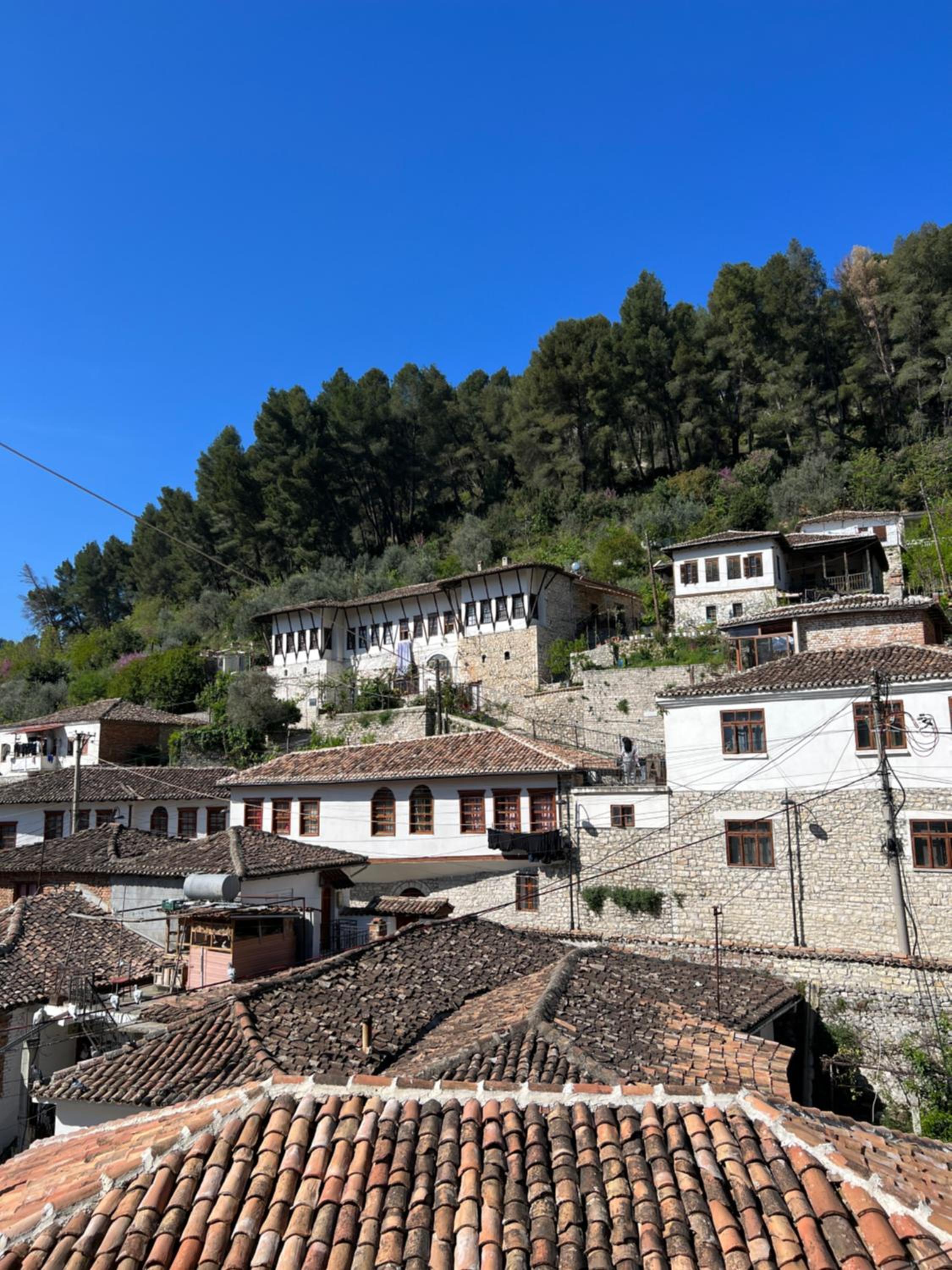 Nika's Guest House
