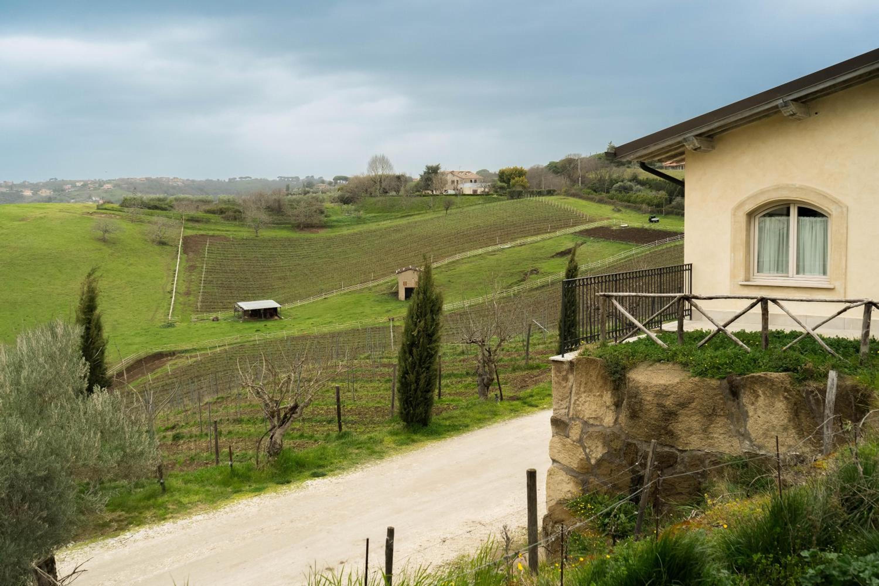 Teddyblu alla Riballina view 3