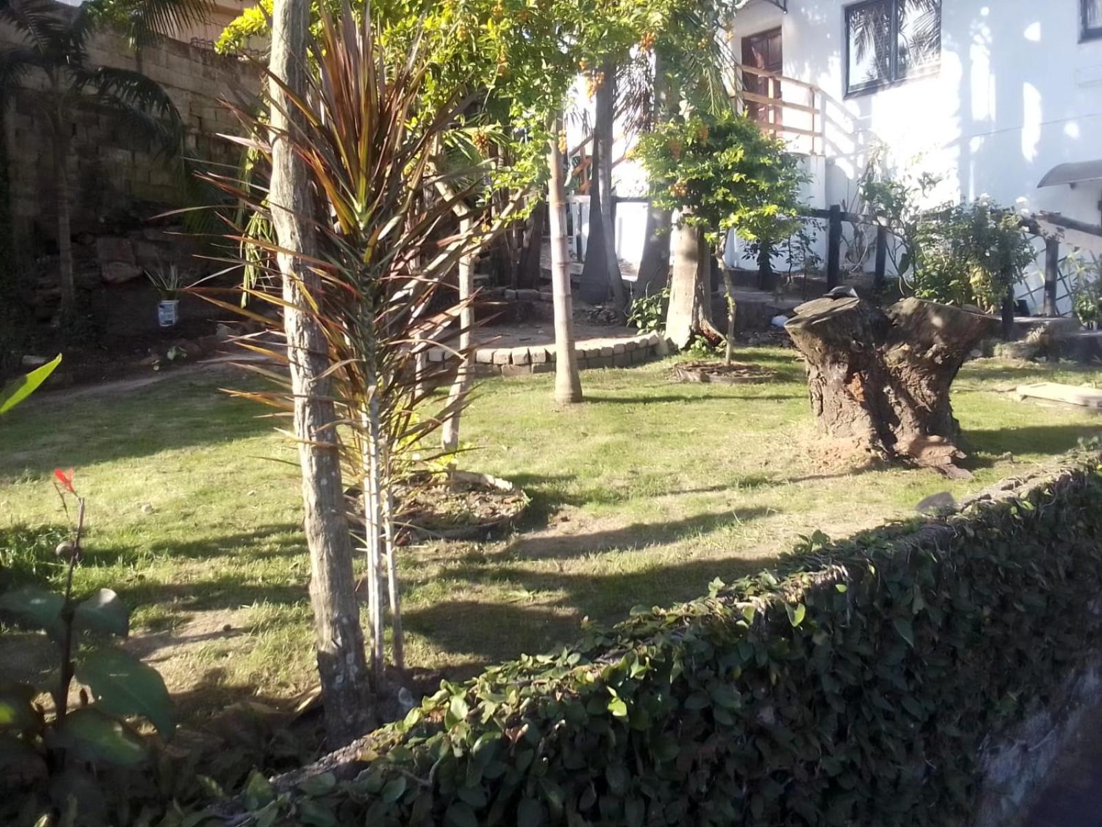 Photo 43