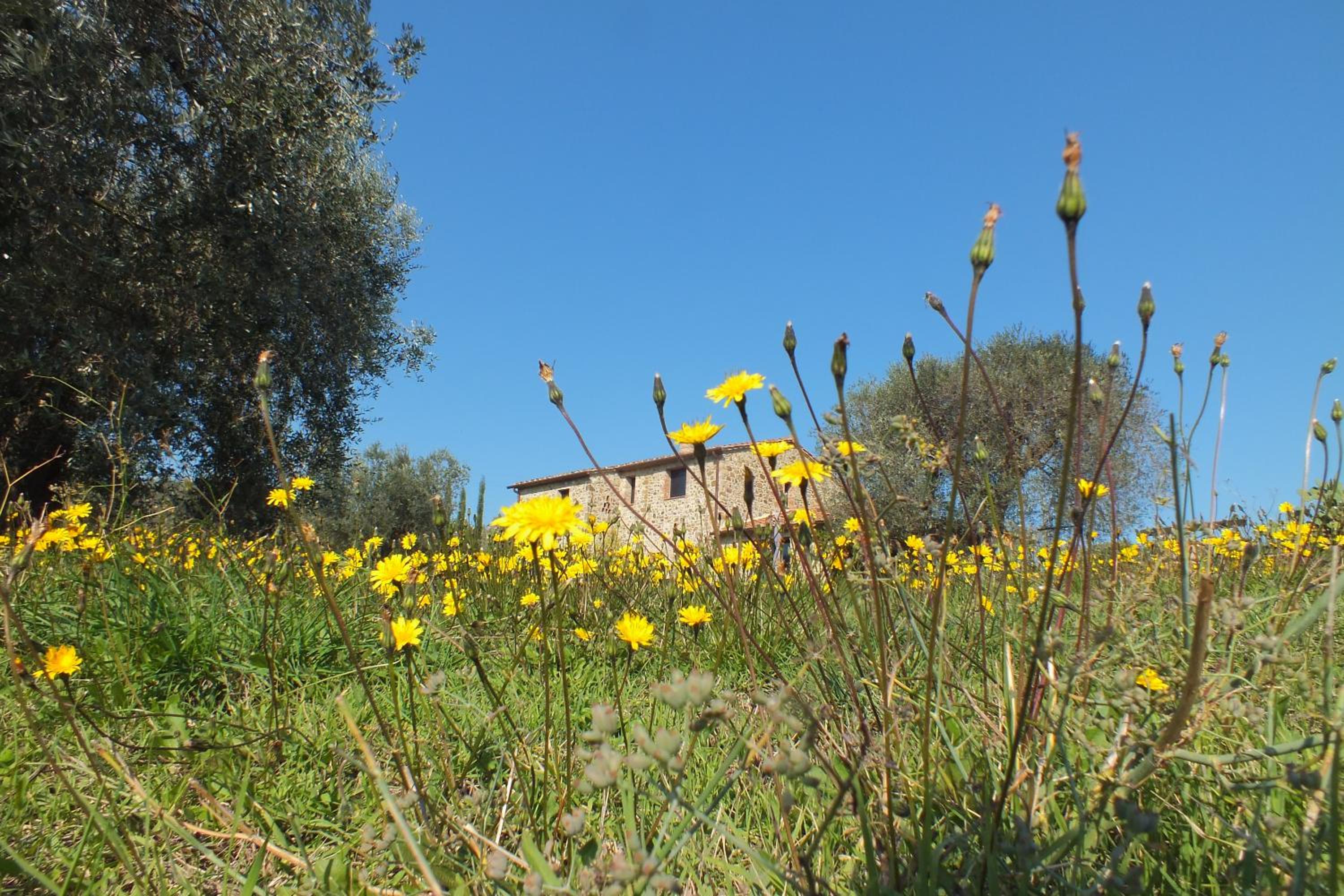 Photo 44