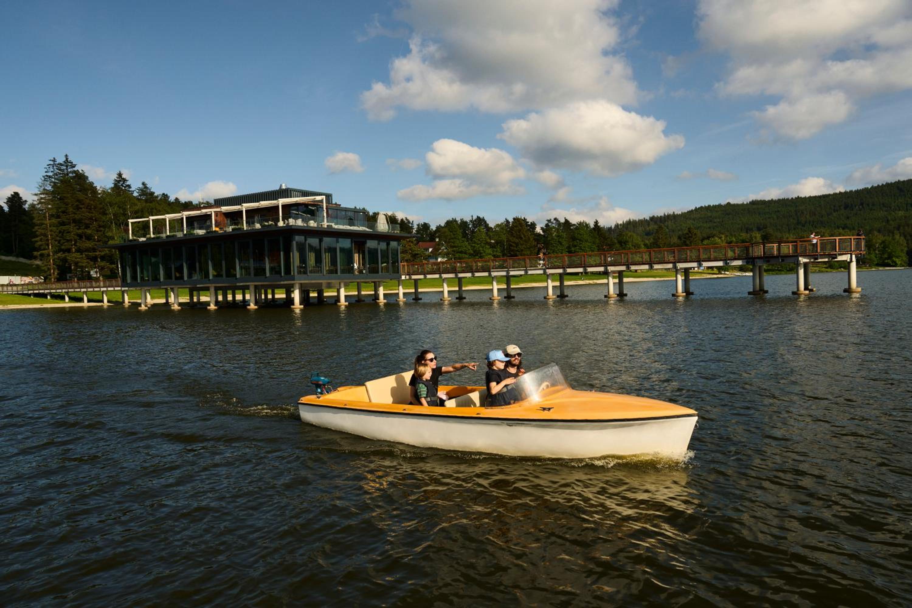 Vila nad jezerem Lipno