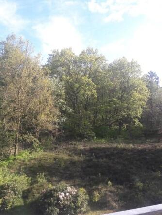 FEWO Wald&Meer