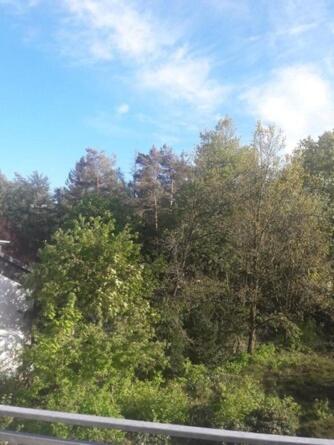 FEWO Wald&Meer
