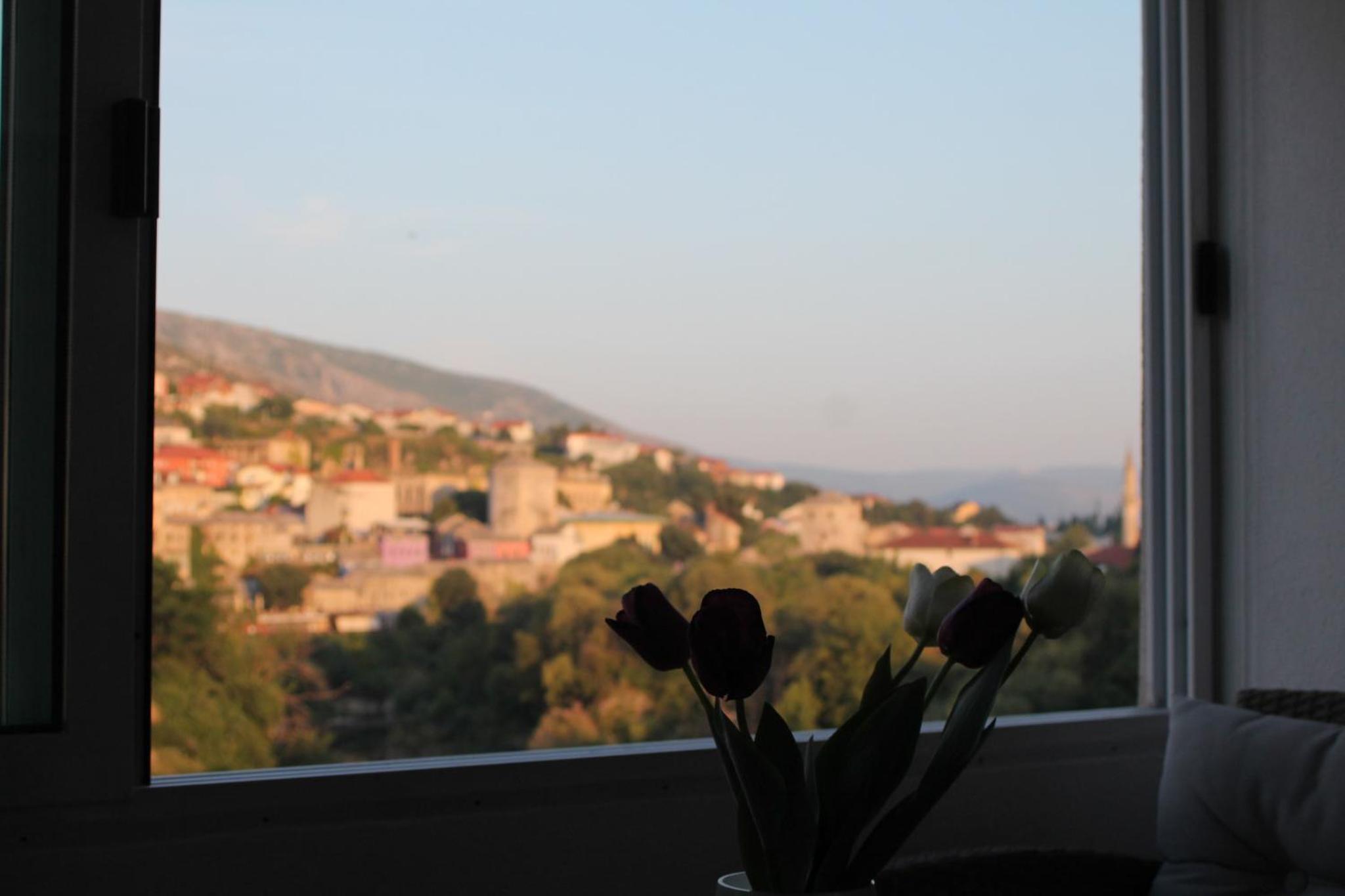 Dream View Apartments
