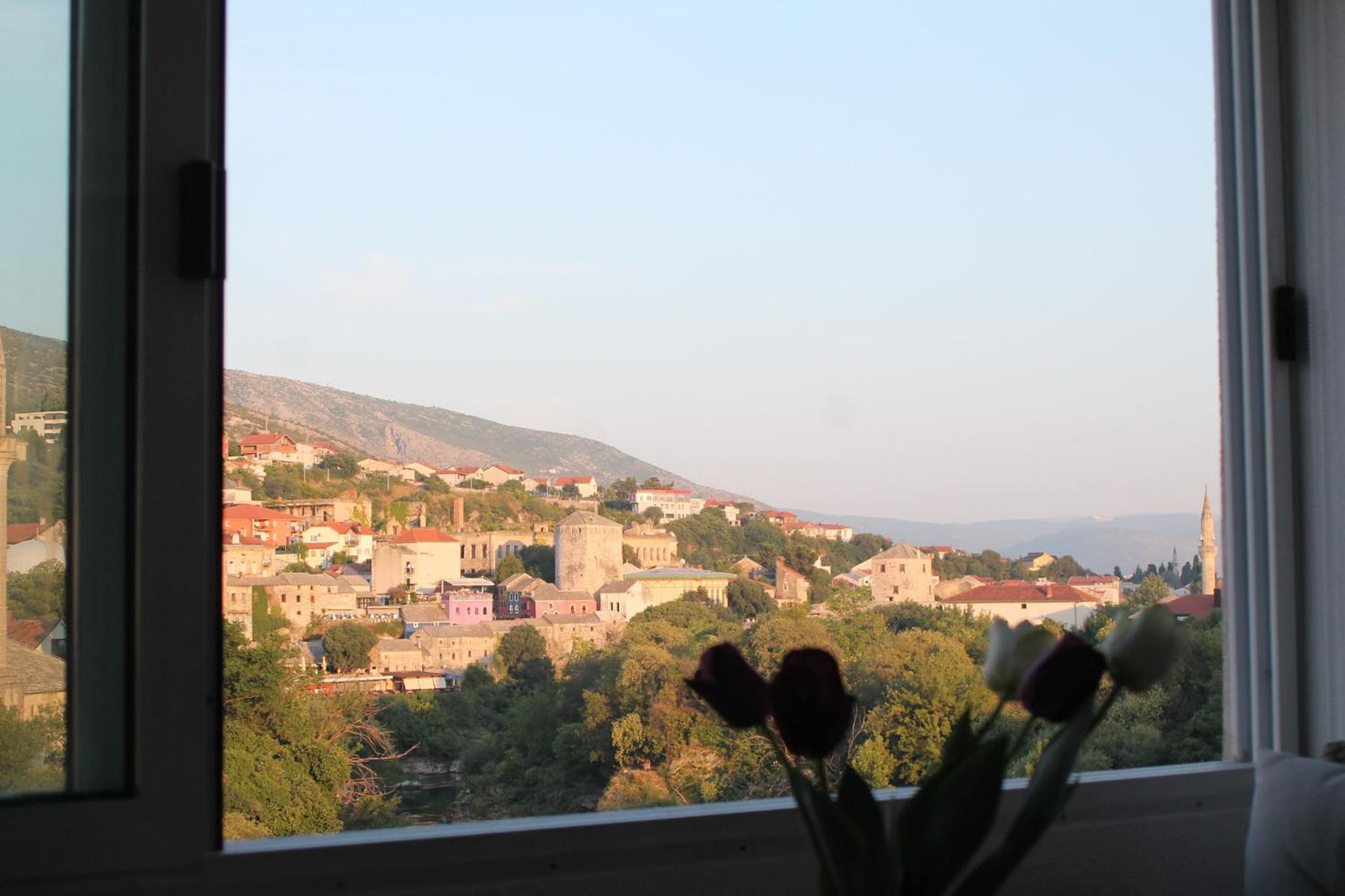 Dream View Apartments