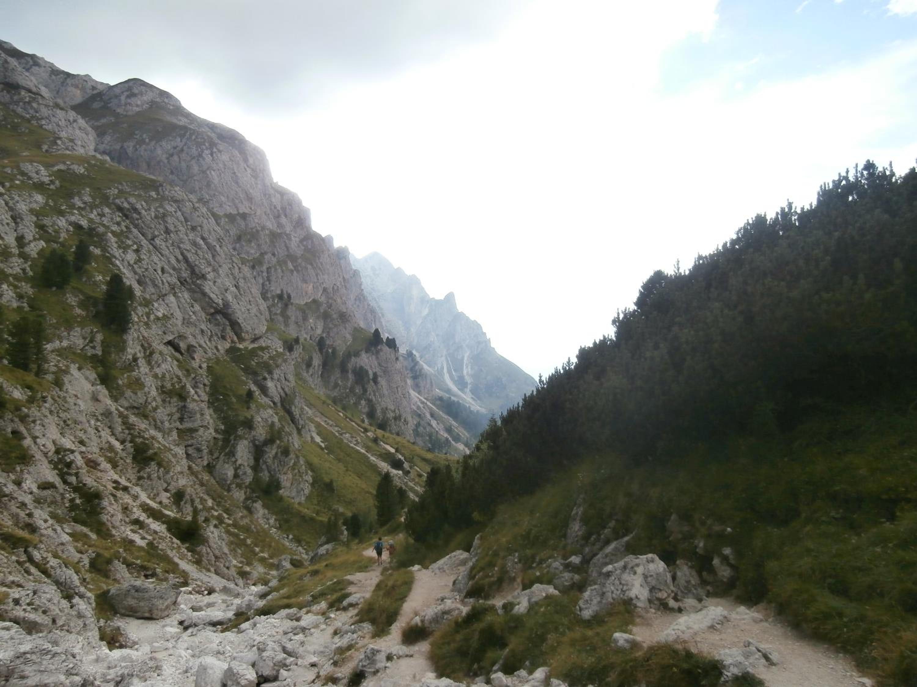 Groneshof