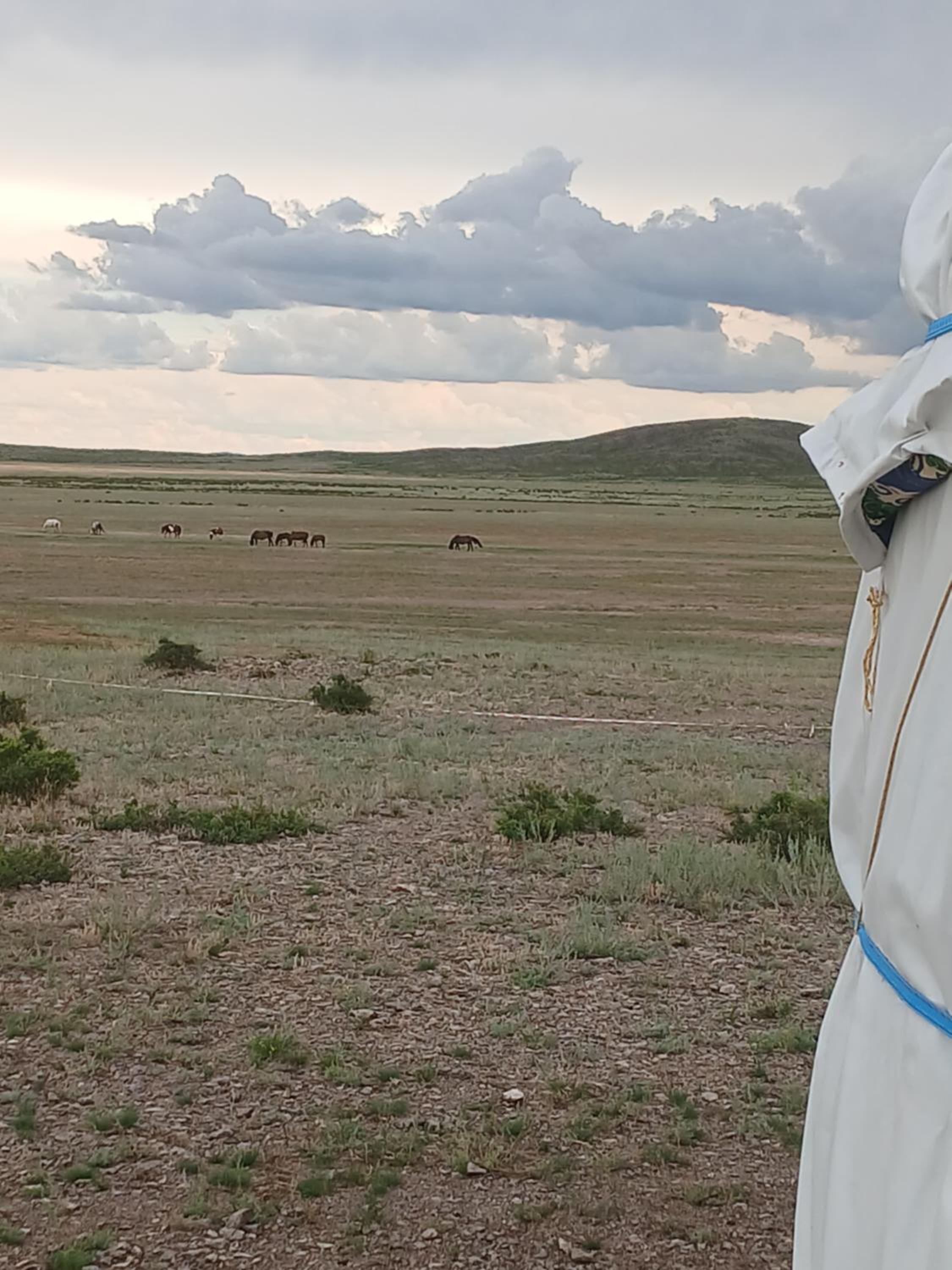 Jorga - Horses of nomads view 3