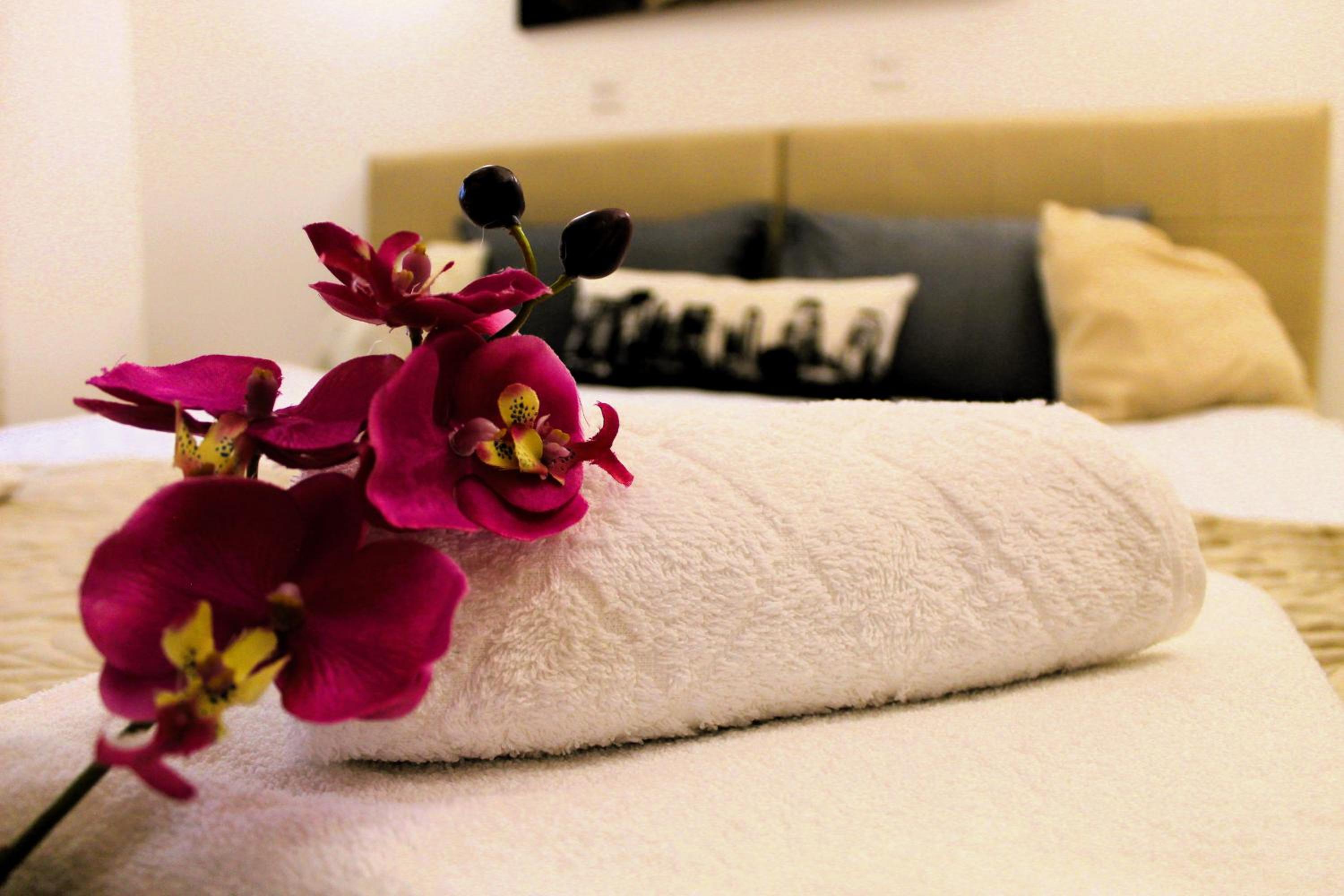 Silver Apartment near Old town Mostar