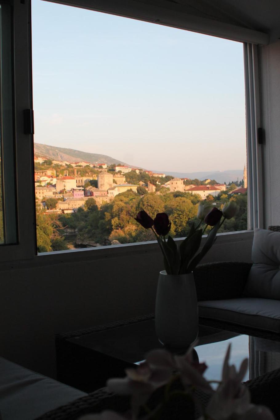 Dream View Apartments