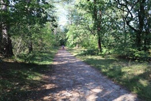 FEWO Wald&Meer