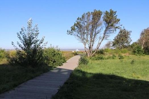FEWO Wald&Meer