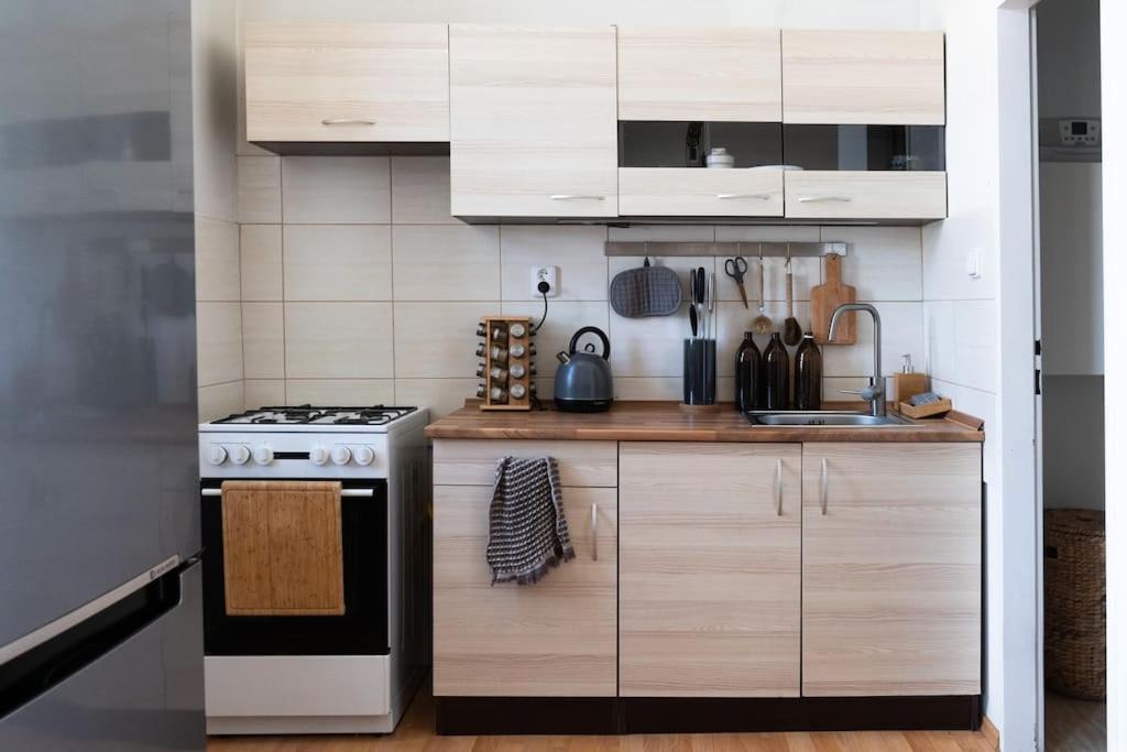 Rustic Apartment in Brno Husovice