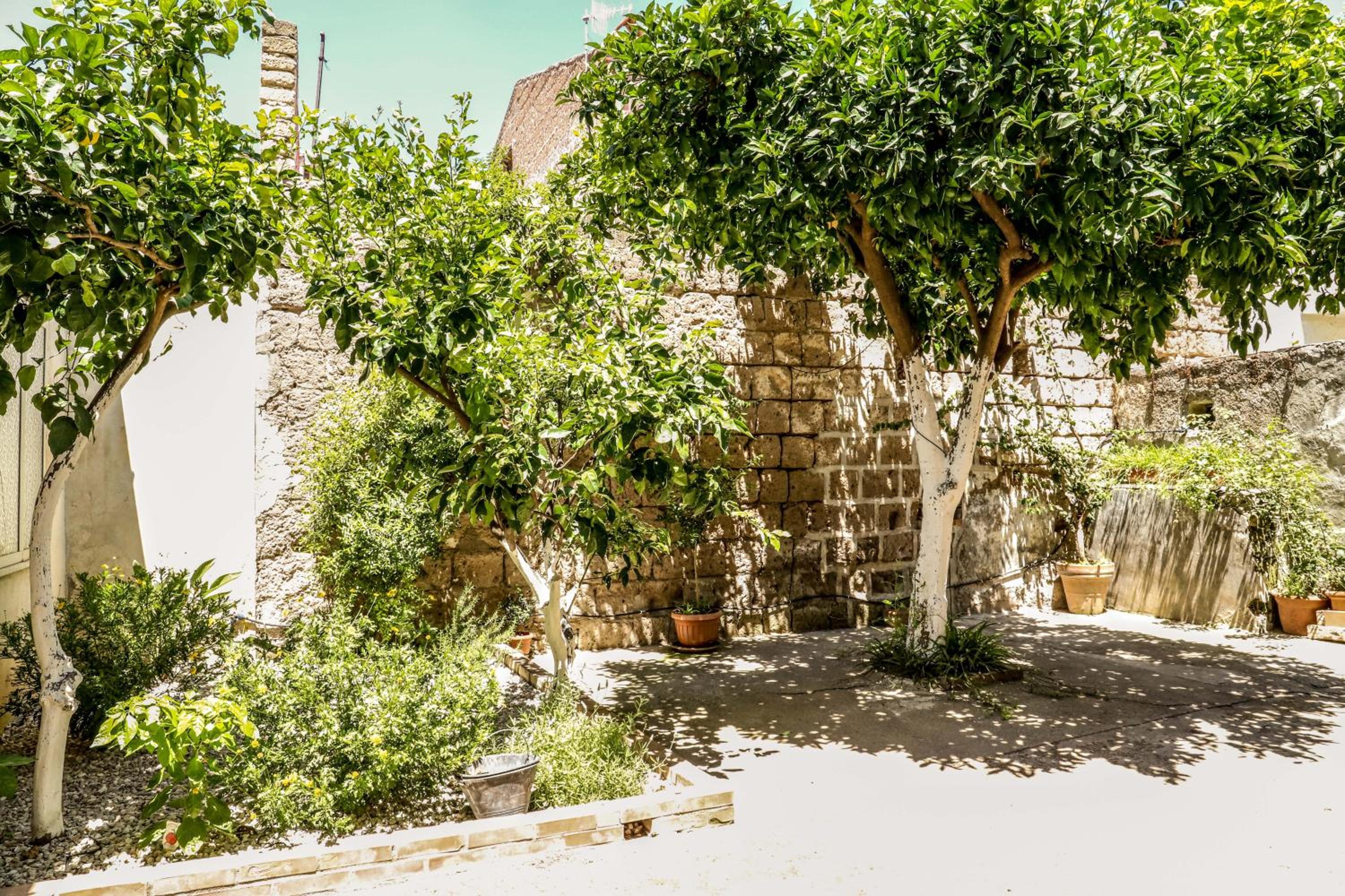 Gli agrumi di Nonna Peppina - Appartamento Limoni photo 3