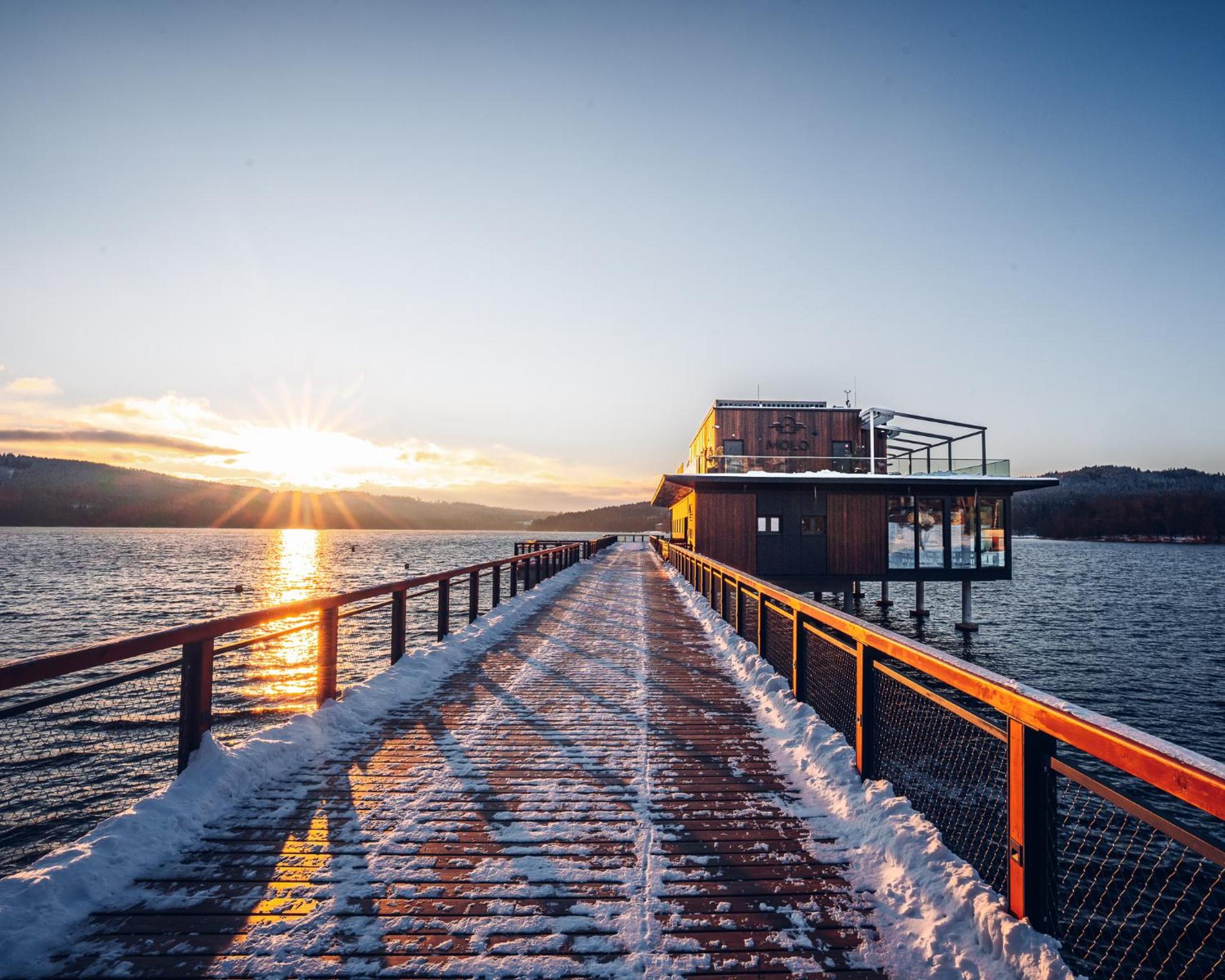 Vila nad jezerem Lipno