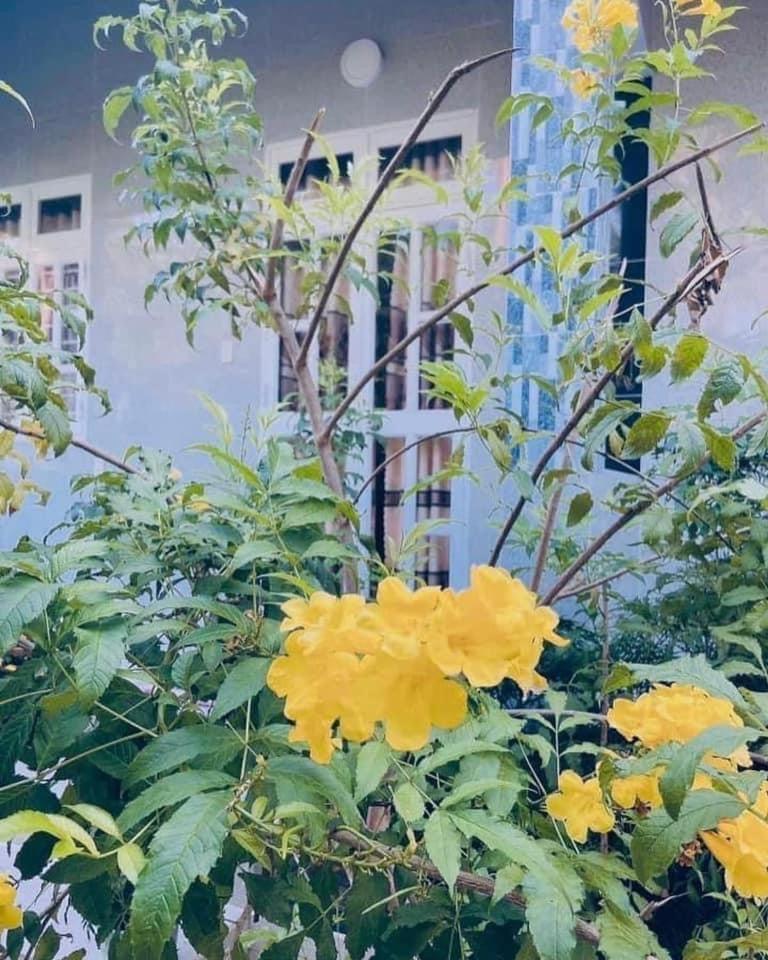 Homestay LâmLongLuân