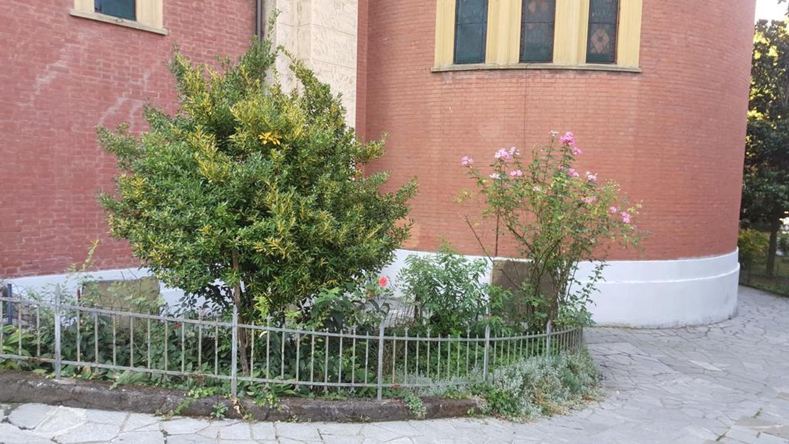 Charming Apartment in Asti 35 m² Garden View view 5