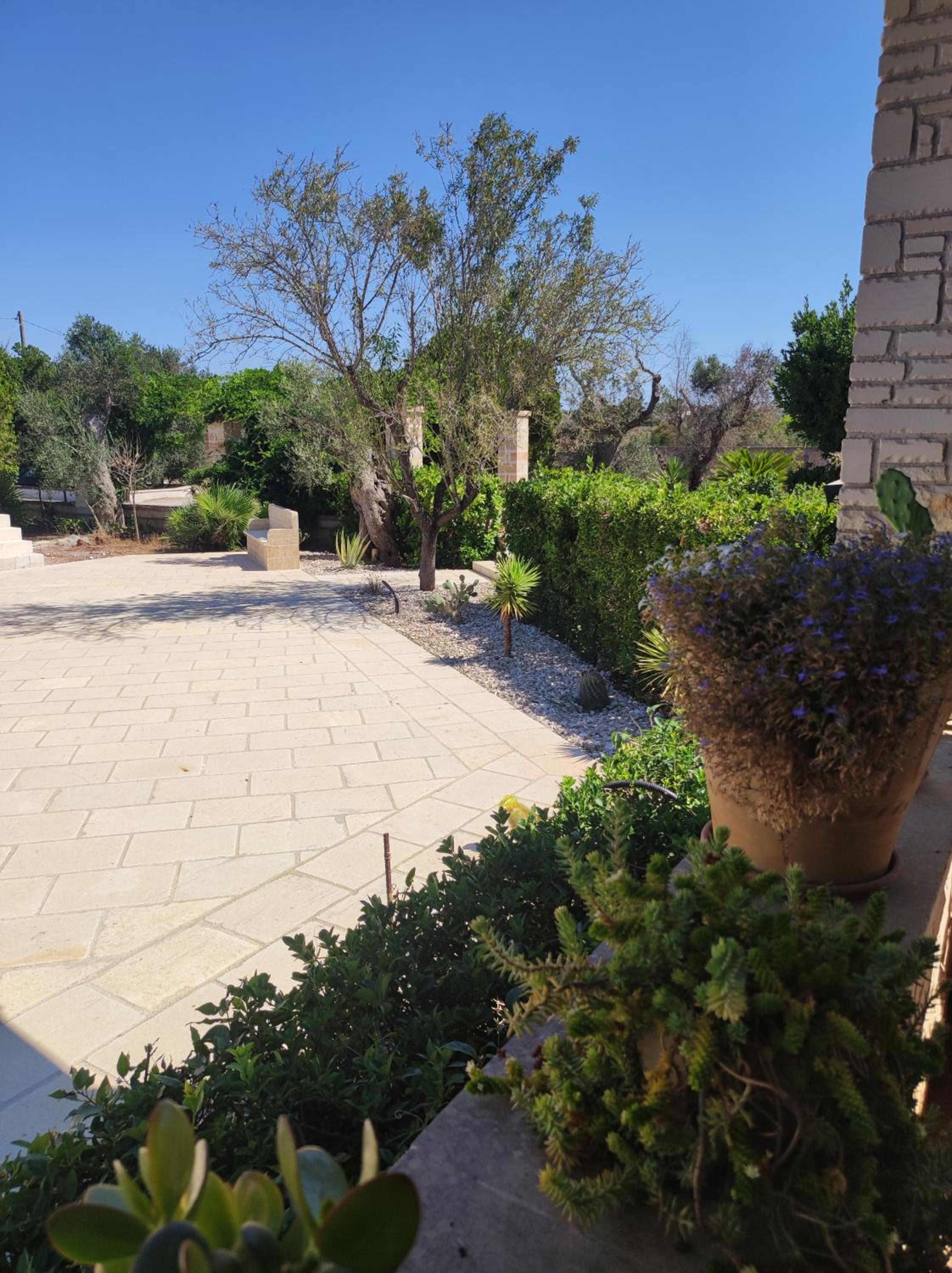 Contrada Macchia B&B